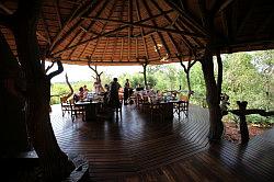 Madikwe - safari; lunch