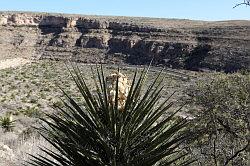 Carlsbad Caverns National Park