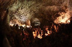 Carlsbad Caverns National Park