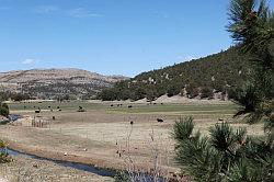 Sacremento mountains