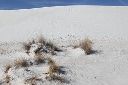 White Sands National Monument