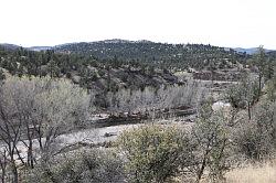 Gila Forest