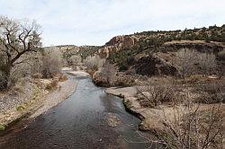 Gila Forest