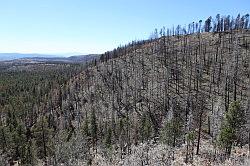 Jemez mountains