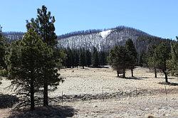 Jemez mountains