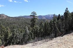 Jemez mountains