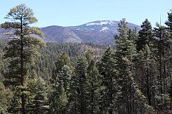 Jemez mountains