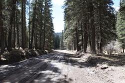 Jemez mountains