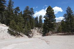 Jemez mountains