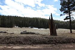 Jemez mountains