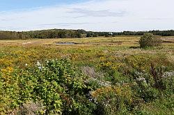 Prince Edward Island centrale oostkust