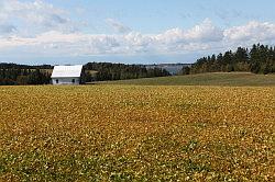 Prince Edward Island centrale oostkust