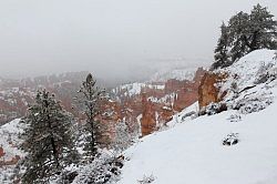 Bryce Canyon