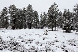 Bryce Canyon