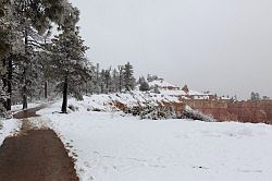 Bryce Canyon