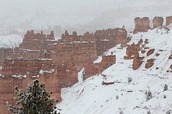 Bryce Canyon