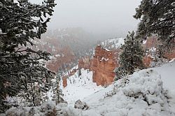 Bryce Canyon