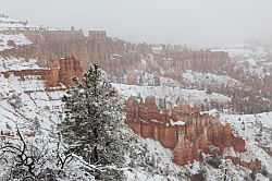 Bryce Canyon