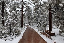 Bryce Canyon