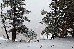 Bryce Canyon