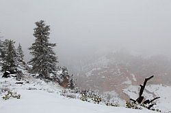 Bryce Canyon