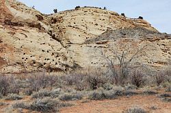 Capitol Reef