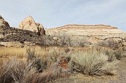 Capitol Reef