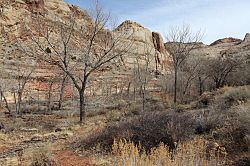 Capitol Reef