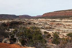 Natural Bridges