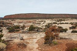 Natural Bridges