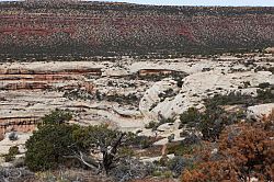 Natural Bridges