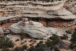 Natural Bridges