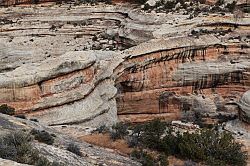 Natural Bridges