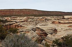 Natural Bridges