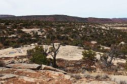 Natural Bridges