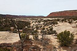 Natural Bridges