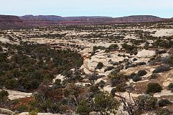 Natural Bridges