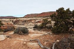 Natural Bridges