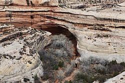 Natural Bridges