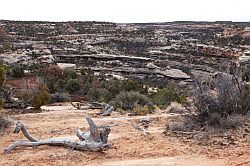 Natural Bridges