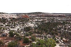 Natural Bridges