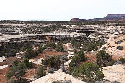 Natural Bridges