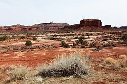 Natural Bridges