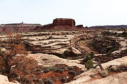 Natural Bridges