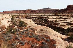 Natural Bridges