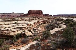 Natural Bridges