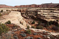 Natural Bridges