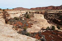 Natural Bridges