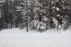 Bryce Canyon