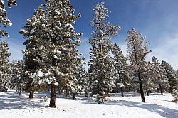 Bryce Canyon